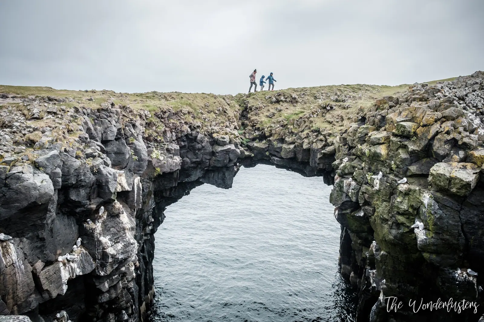 Arnarstapi, sur la péninsule de Snæfellsnes, Islande