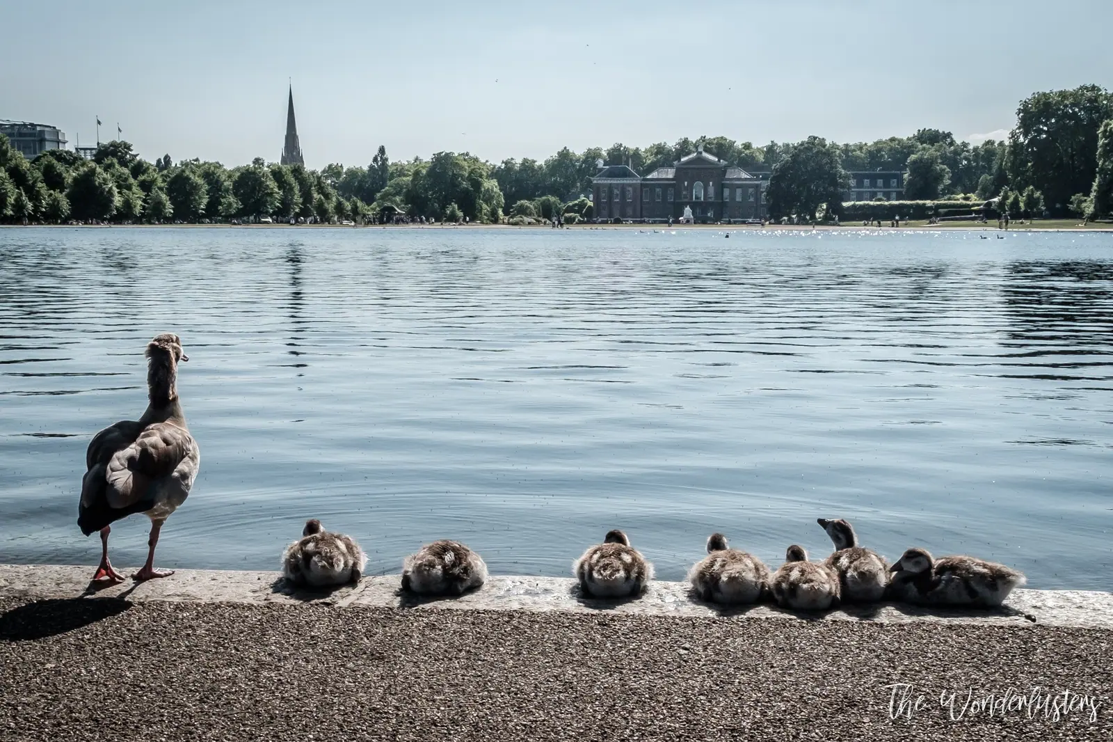 Le palais de Kensington