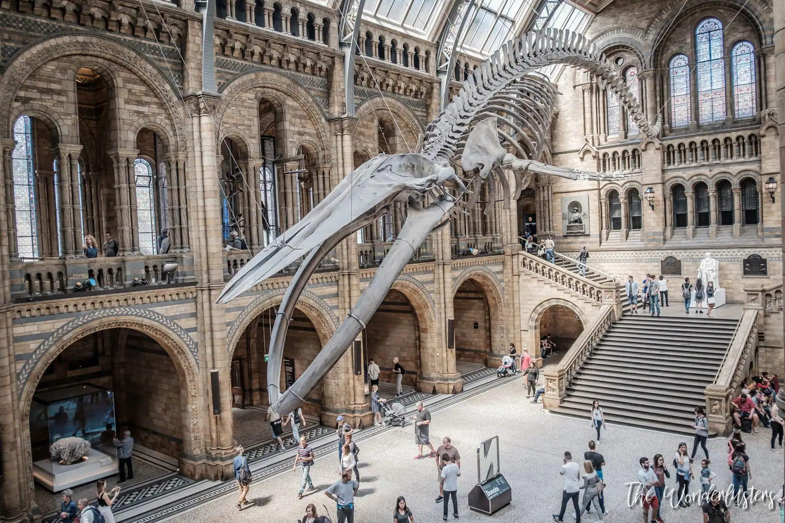 Grand hall du Natural History Museum de Londres