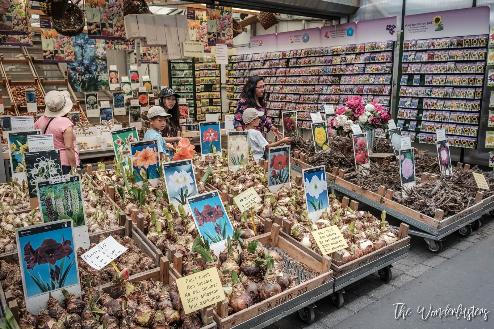 Amsterdam Flower Market
