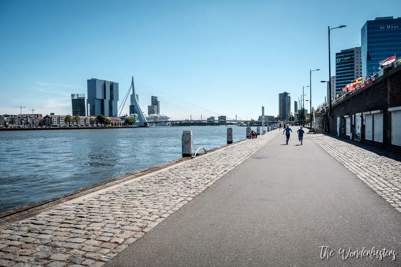 Rotterdam Erasmusbrug