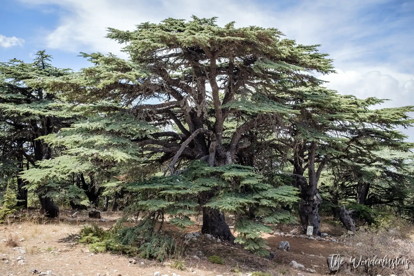 Les 8 plus beaux sites du Liban à visiter