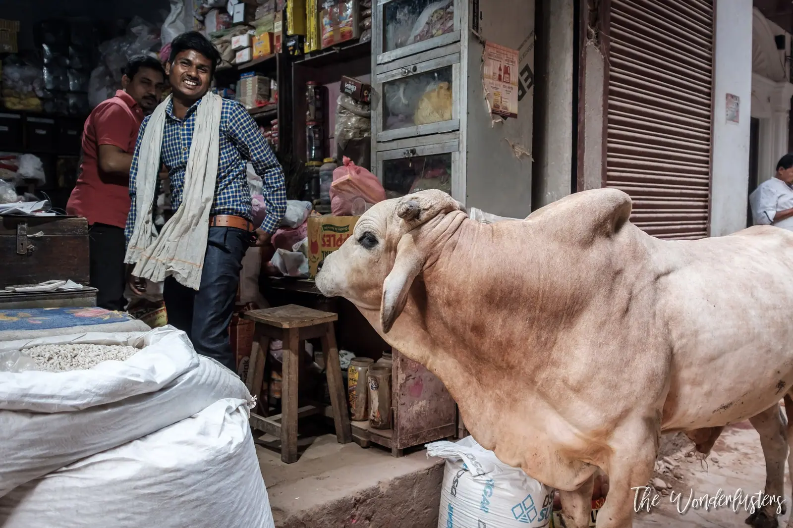 Visages de l'Inde