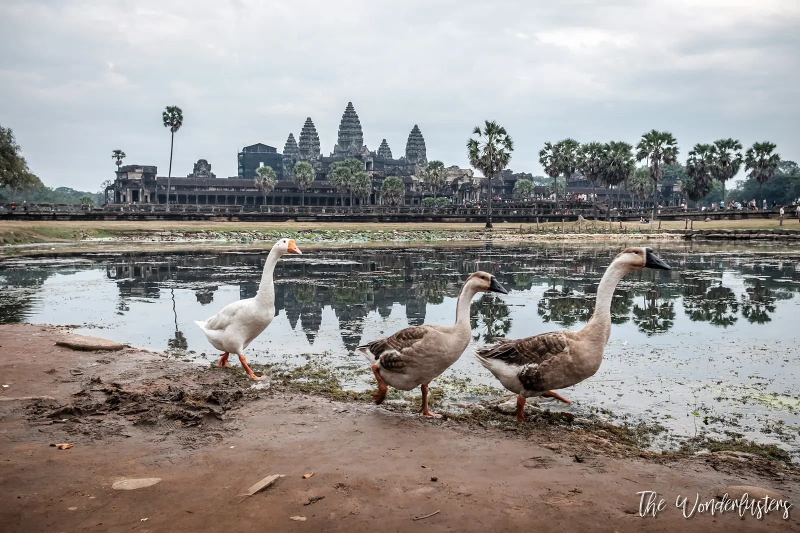 5 Top-Rated Tourist Attractions in Siem Reap, Cambodia