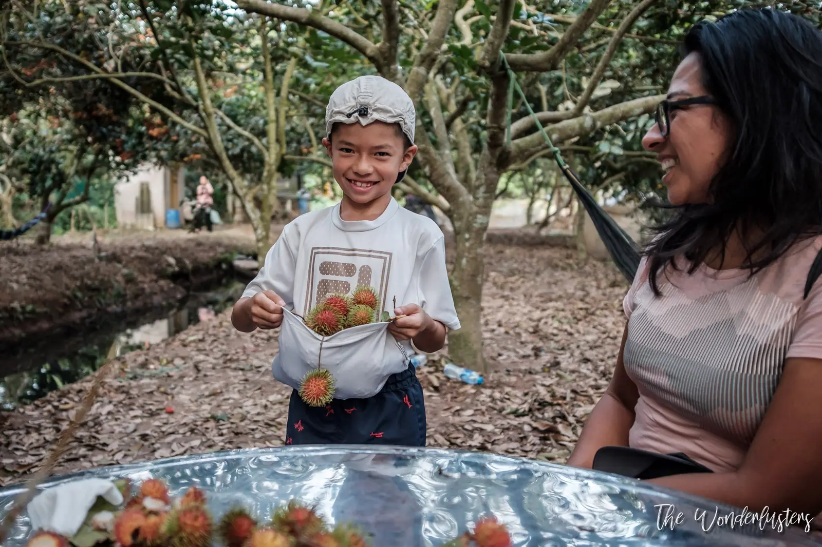 Cueillette de rambutans au Vietnam