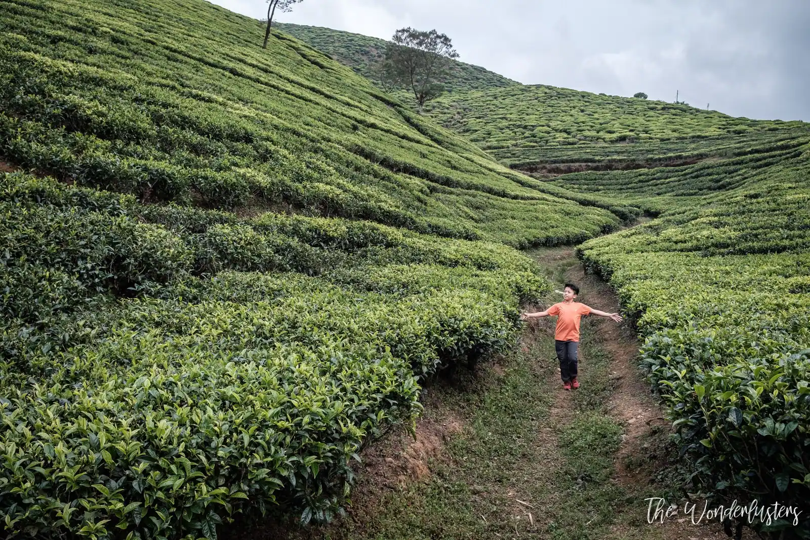 Sur la route de Nuwara Eliya