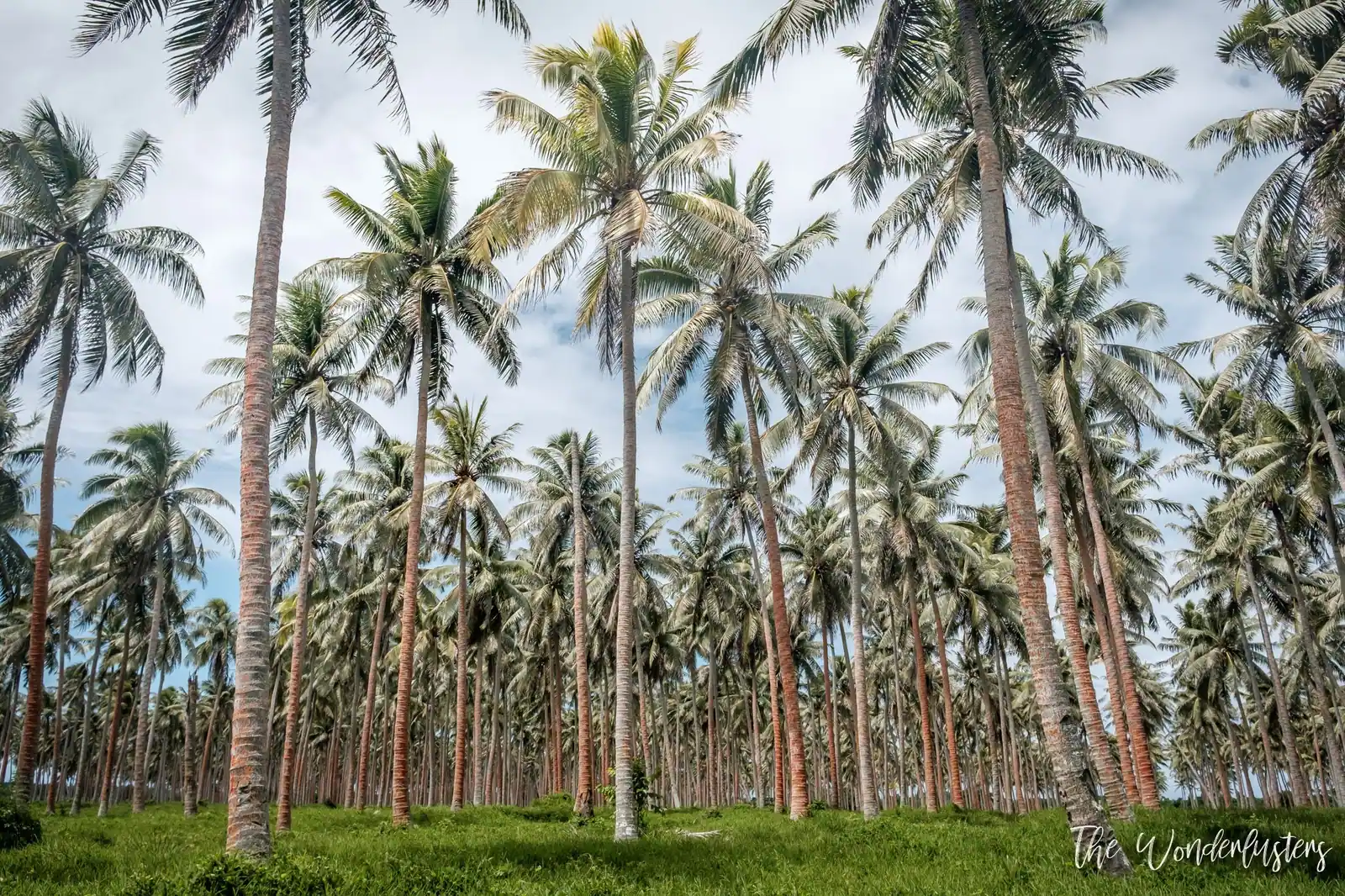 Vanuatu: The Most Beautiful Attractions of Efate