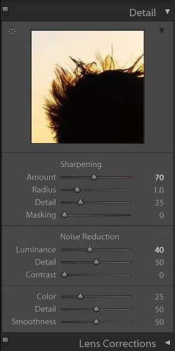 Réglages de détail dans Lightroom