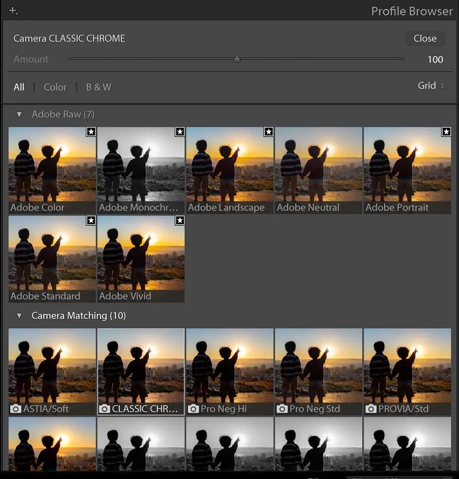 Explorateur de profils dans Lightroom