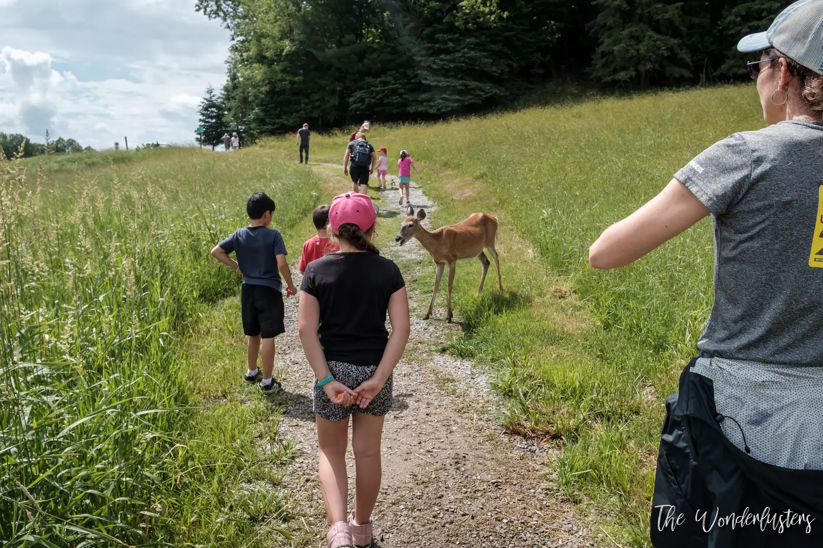 Sentier pédestre menant à la Ferme d’Antan au Parc Oméga