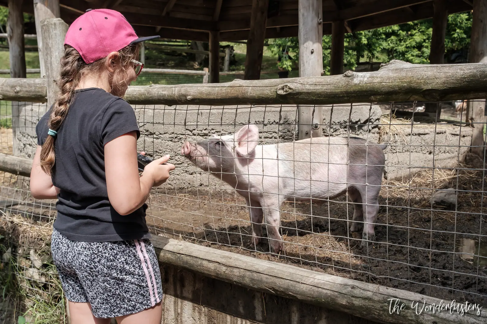 Animaux de la Ferme d’Antan au Parc Oméga